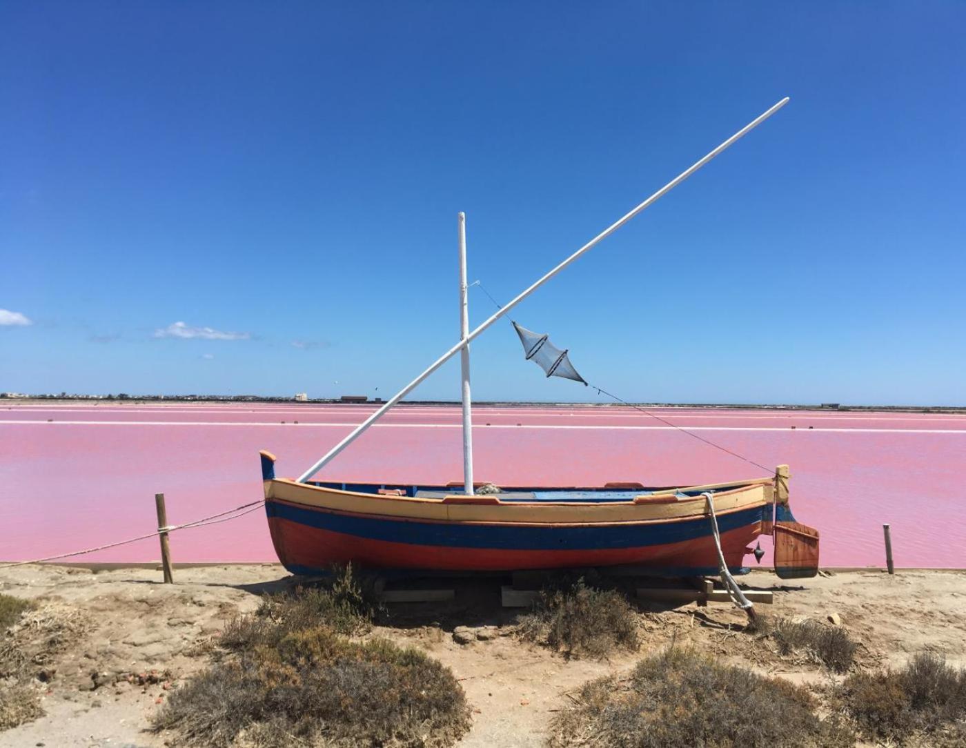Maison De Vacances 8 A 15 Pers A Proximite Du Canal Du Midi Sallèles-dʼAude المظهر الخارجي الصورة
